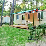 Campsite Al Bosco 2*