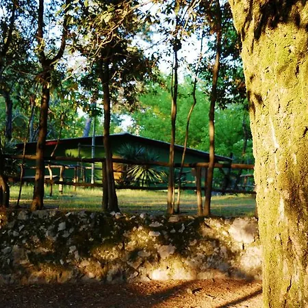 Al Bosco Kemp